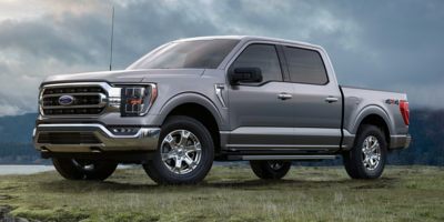F-150 XL 2WD SuperCrew 5.5' Box